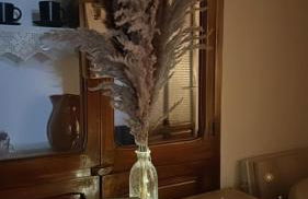 Casa Frasquita - Foto 15