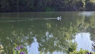 La maison des pêcheurs - Foto 2