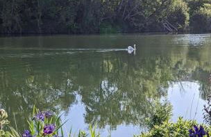 La maison des pêcheurs - Foto 2