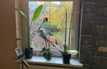 YourHome-PM - Photo 15