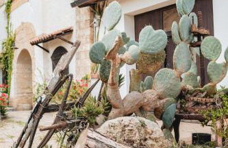 Masseria Piutri - Photo 5
