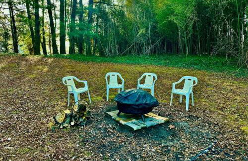 Chesapeake Holiday House - Foto 54