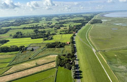 Nordseeurlaub im hochwertigen Feriendomizil Rosenhuus mit Sauna und Kamin im idyllischen Butjadingen - Foto 41