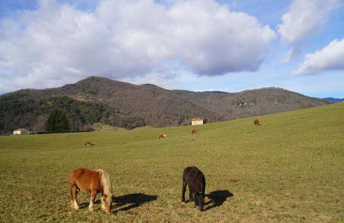 Cal Harrys - La Mejor Casa de vacaciones en Pyrenees con Vistas a la Montaña - Photo 28