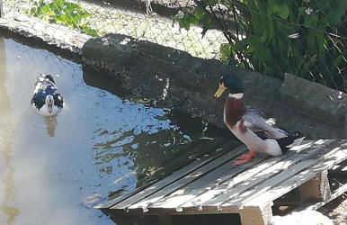 My Portugal for All - Lousada Villa - Foto 64