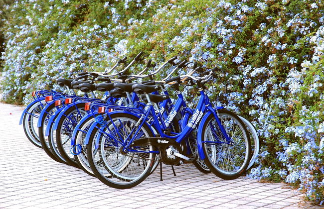 Jolie House - Foto 36