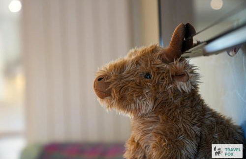 Daisy Cottage - Two bed country retreat with hot tub - Foto 14