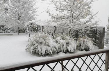 Casa Aurea - Photo 3