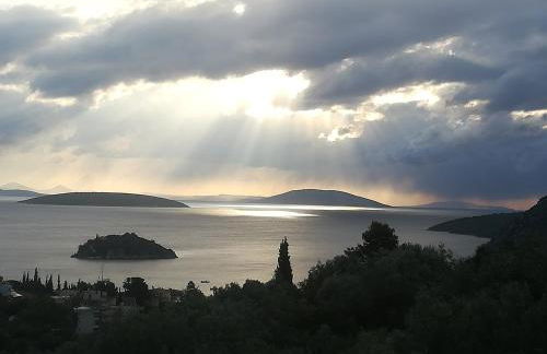Πέτρα, Ελιά και Λεβάντα - Foto 49
