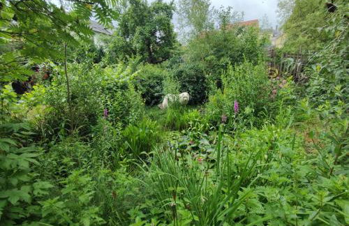 Colmar Friends and Familly guest home - ALL INCLUSIVE - COLMAR Gare - Jardin - Combles et Vous - Foto 64