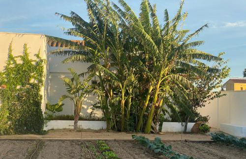 La Casa de Marieta "A" - Foto 34