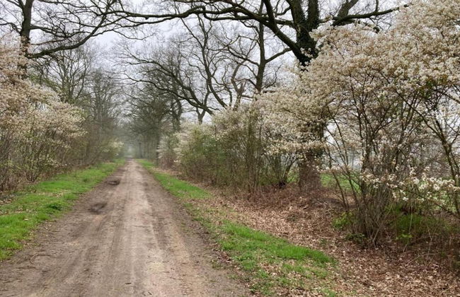 Holiday Home in Geesteren With Roof Terrace,garden Furniture - Photo 72
