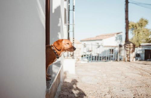 Grazalema- Casita Panorama - Fantastic views- Clima, Wi-Fi and Private Parking optional - Foto 24