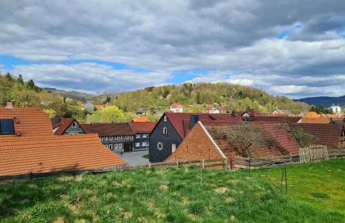 Ferienwohnung - Zum alten Fritz - Suhl, 2 Schlafzimmer, 2 Terrassen - Photo 15