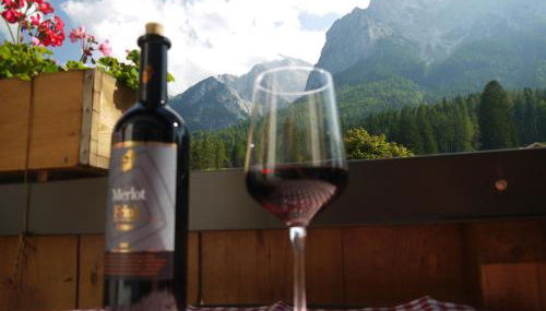 Ferienwohnungen Kral - Foto 5