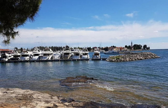 Holiday House in Novigrad With Pool - Foto 33