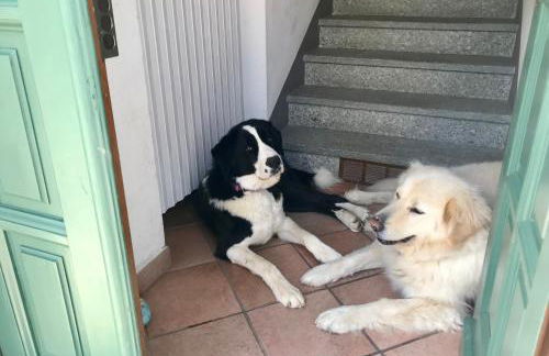 Appartamento in cascina -la cascinetta di Ali- - Foto 9