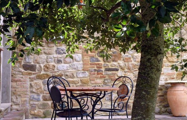 Fattoria Lischeto - Foto 31