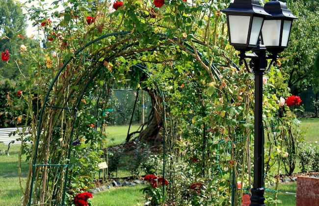 Agriturismo Argaland - Foto 59