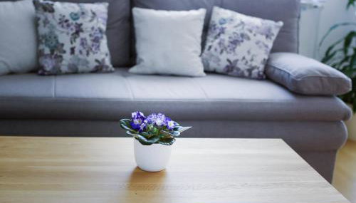 Apartman Dada - Foto 5