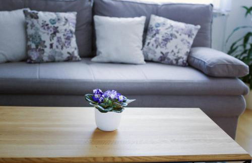 Apartman Dada - Foto 5