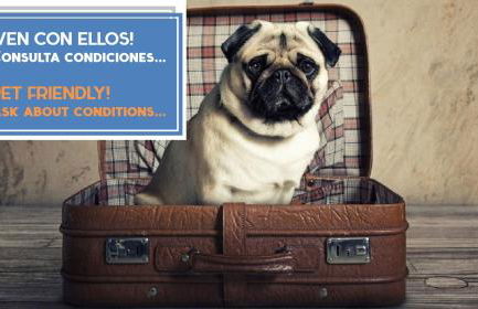 Atico del ROMANTICO Gaditano by Cadiz4Rentals - Foto 6