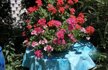 Ferienwohnung Roth am Naturschutzgebiet Bodensee Eriskircher Ried - Foto 14