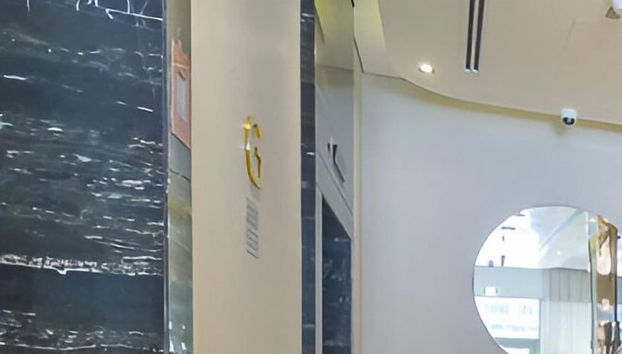 Damac Majestine - Foto 3, Recepción