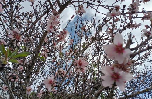 Casa Las Enanitas II (Casa Elias) - Foto 14