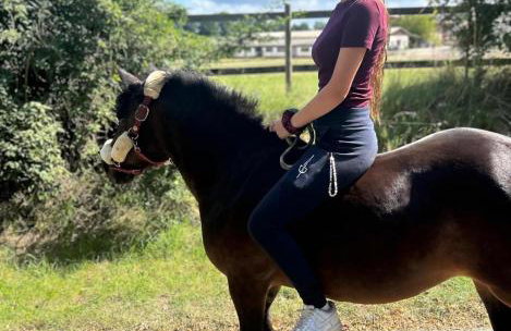 Tiny Bauernhof Plau - Photo 20