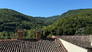 La Casa dei Nonni - Foto 5