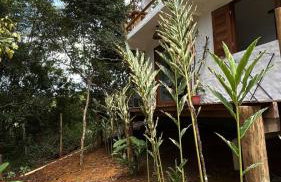 CASA NANDOS Studio quintal da mata !!! - Foto 32