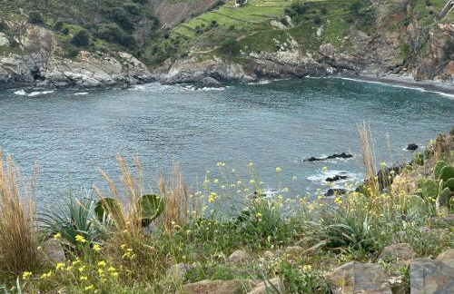 T2 appartment with sea view and swimmimg pool. - Foto 18