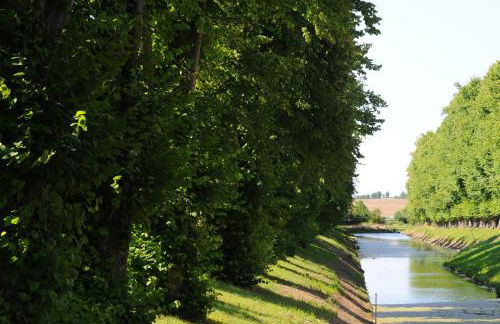 Palms Ferienhaus - Foto 19