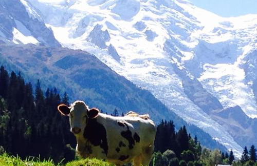 Large peaceful chalet for mountain adventures! Perfect for Flégère and Grand Montet skiing - Foto 58