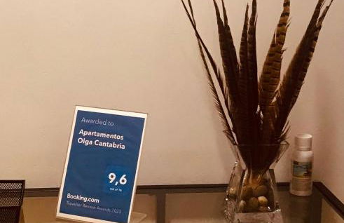 Apartamentos Olga Cantabria - Foto 24