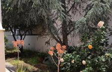 Ellora Suite - Foto 72