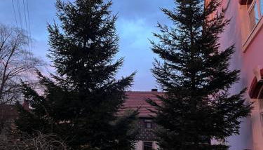 Ferienwohnung - Foto 2