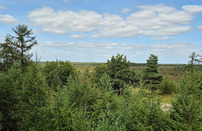 5 Star Holiday Home in Hovborg - Foto 21