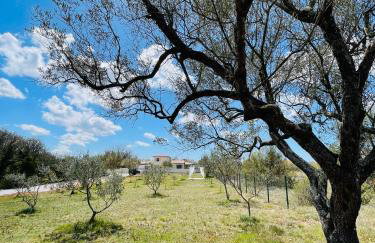 Private 9000qm Estate Villa with Pool and Yacuzzi and Sauna absolute Privacy near Fazana - Foto 72