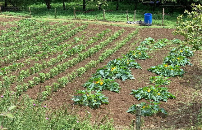 Agroturismo Urresti - Foto 47