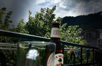 Lavena - LAKE & MOUNTAIN Apartments - Foto 22