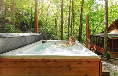 High Top cabin at Cabin Fever in NC - Foto 17