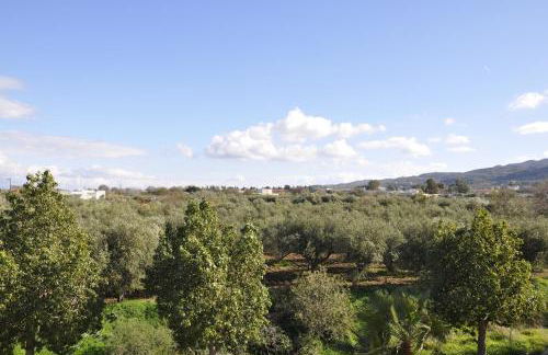 Funky Nest - A cozy apartment in Zipari - Foto 13