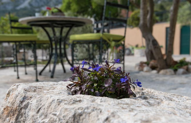 Villa Andro - Foto 47