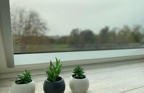 Les Rives des Habsbourg - Foto 48