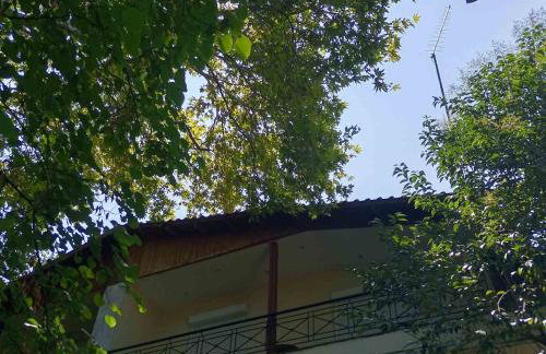 SPIROS APARTMENTS - Foto 22