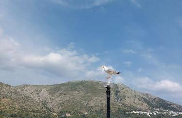 Παραδοσιακή πέτρινη κατοικία - Photo 11