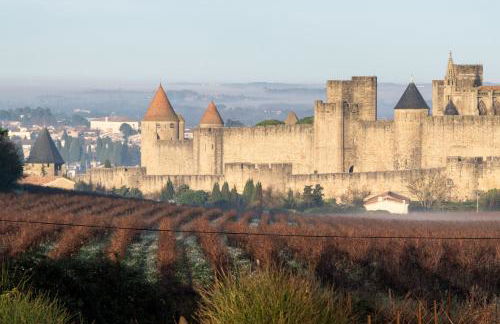 Villa des Cathares - Foto 46