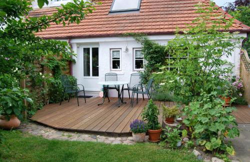 Rittersporn - Foto 2